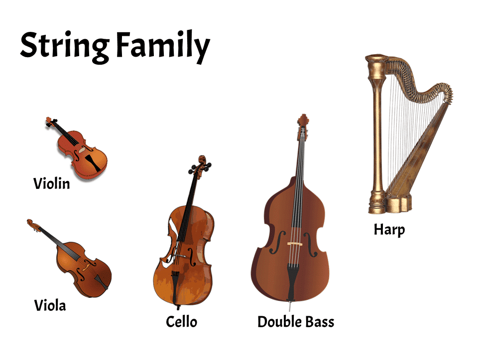 String Family | FREE Lesson - Learn About the Instruments of the Orchestra and Band | Elementary Music Classroom
